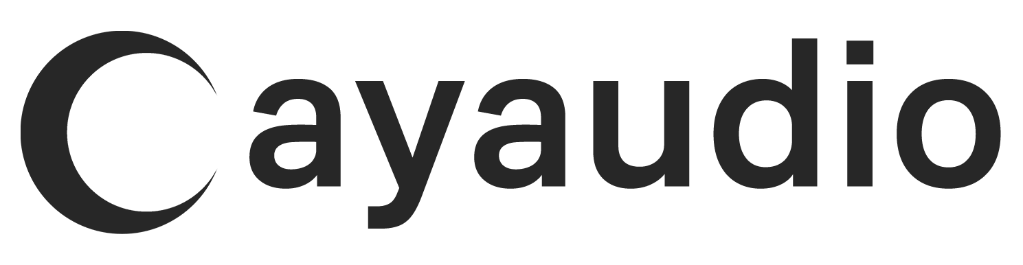ay.audio Logo
